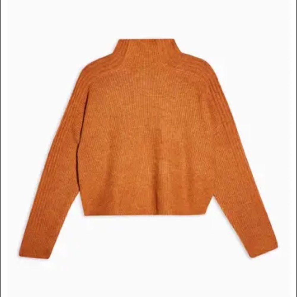 Topshop Cropped Turtleneck Sweater in Rust